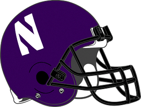 Northwestern Wildcats 1994-Pres Helmet Logo iron on transfers for clothing